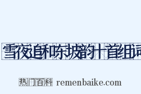 雪夜追和东坡韵十首组词是什么意思的图片